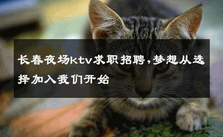 长春夜场ktv求职招聘,梦想从选择加入我们开始 