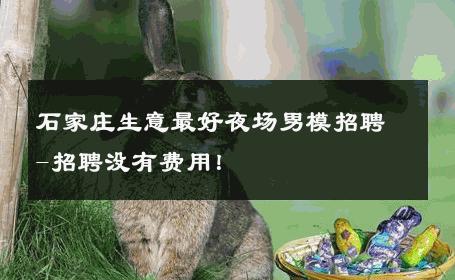 石家庄生意最好夜场男模招聘-招聘没有费用！ 