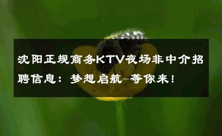 沈阳正规商务KTV夜场非中介招聘信息：梦想启航-等你来！ 