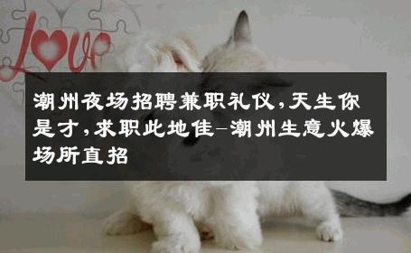 潮州夜场招聘兼职礼仪,天生你是才,求职此地佳-潮州生意火爆场所直招