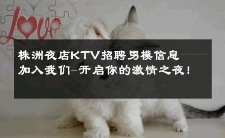 株洲夜店KTV招聘男模信息——加入我们-开启你的激情之夜！ 