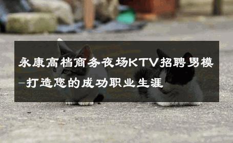 永康高档商务夜场KTV招聘男模-打造您的成功职业生涯 