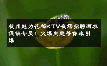 杭州魅力花都KTV夜场招聘酒水促销专员！火爆生意等你来引爆 