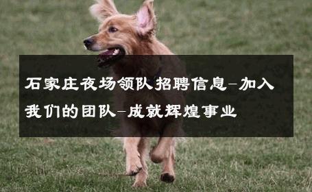 石家庄夜场领队招聘信息-加入我们的团队-成就辉煌事业 