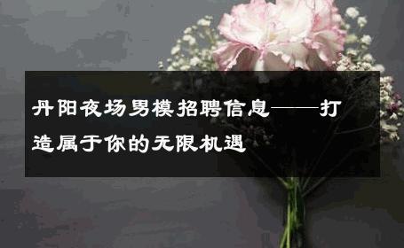 丹阳夜场男模招聘信息——打造属于你的无限机遇 
