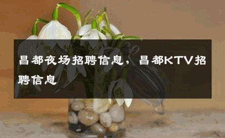 昌都夜场招聘信息，昌都KTV招聘信息
