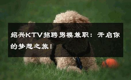 绍兴KTV招聘男模兼职：开启你的梦想之旅！ 