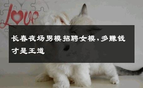 长春夜场男模招聘女模,多赚钱才是王道 