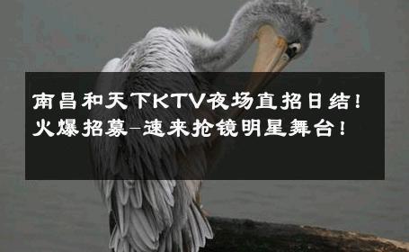 南昌和天下KTV夜场直招日结！火爆招募-速来抢镜明星舞台！ 