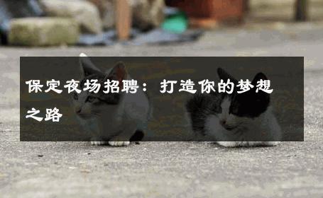 保定夜场招聘：打造你的梦想之路 