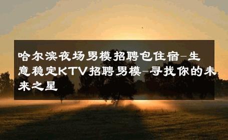 哈尔滨夜场男模招聘包住宿-生意稳定KTV招聘男模-寻找你的未来之星 