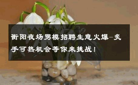 衡阳夜场男模招聘生意火爆-炙手可热机会等你来挑战！ 