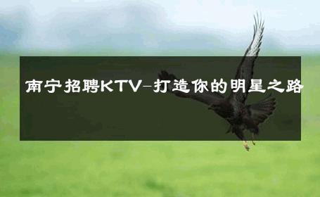 南宁招聘KTV-打造你的明星之路 