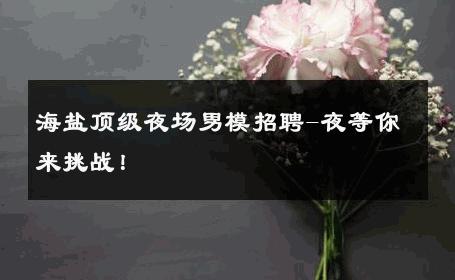 海盐顶级夜场男模招聘-夜等你来挑战！ 