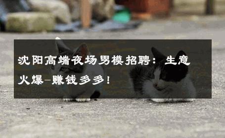 沈阳高端夜场男模招聘：生意火爆-赚钱多多！ 