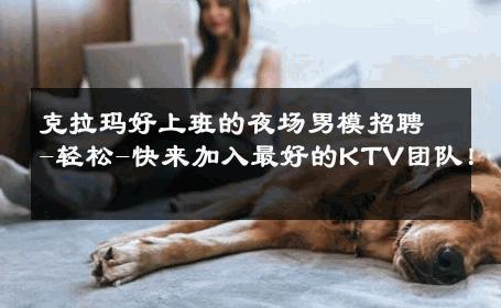 克拉玛好上班的夜场男模招聘-轻松-快来加入最好的KTV团队！ 