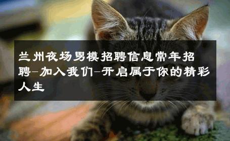 兰州夜场男模招聘信息常年招聘-加入我们-开启属于你的精彩人生 