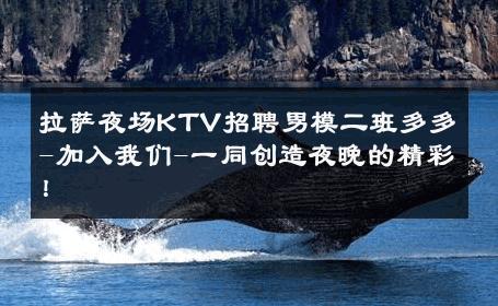 拉萨夜场KTV招聘男模二班多多-加入我们-一同创造夜晚的精彩！ 