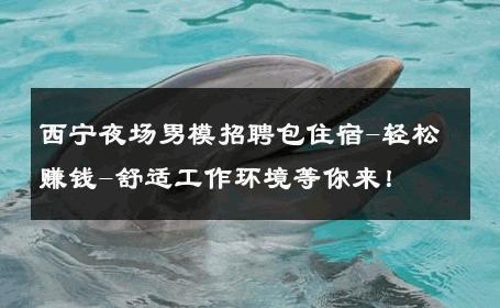 西宁夜场男模招聘包住宿-轻松赚钱-舒适工作环境等你来！ 