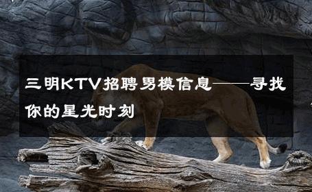 三明KTV招聘男模信息——寻找你的星光时刻 