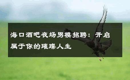 海口酒吧夜场男模招聘：开启属于你的璀璨人生 