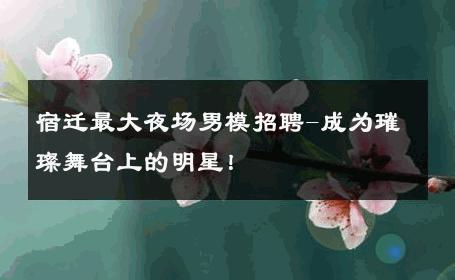 宿迁最大夜场男模招聘-成为璀璨舞台上的明星！ 