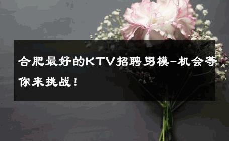 合肥最好的KTV招聘男模-机会等你来挑战！ 