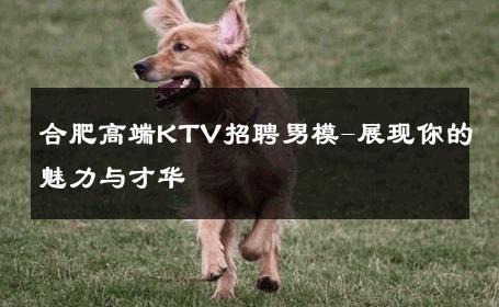 合肥高端KTV招聘男模-展现你的魅力与才华 