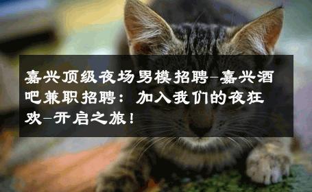 嘉兴顶级夜场男模招聘-嘉兴酒吧兼职招聘：加入我们的夜狂欢-开启之旅！ 