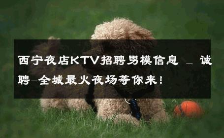 西宁夜店KTV招聘男模信息 _ 诚聘-全城最火夜场等你来！ 