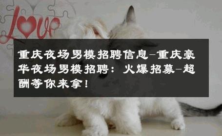 重庆夜场男模招聘信息-重庆豪华夜场男模招聘：火爆招募-超酬等你来拿！ 