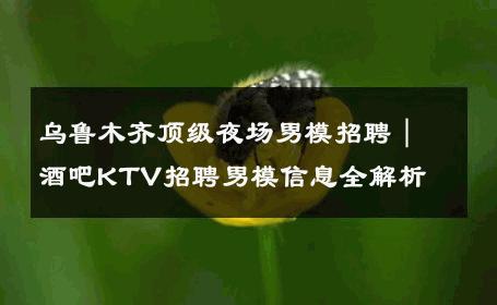 乌鲁木齐顶级夜场男模招聘｜酒吧KTV招聘男模信息全解析 