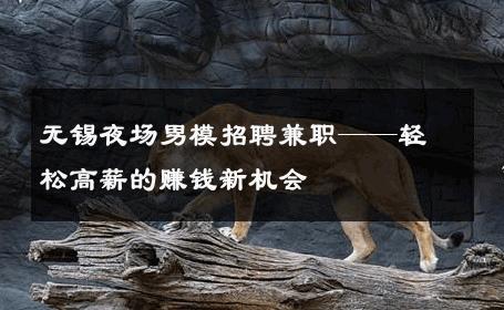无锡夜场男模招聘兼职——轻松高薪的赚钱新机会 