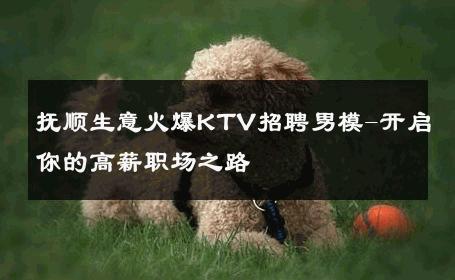 抚顺生意火爆KTV招聘男模-开启你的高薪职场之路 