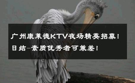 广州康莱德KTV夜场精英招募！日结-素质优秀者可兼差！ 
