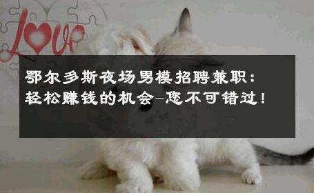 鄂尔多斯夜场男模招聘兼职：轻松赚钱的机会-您不可错过！ 