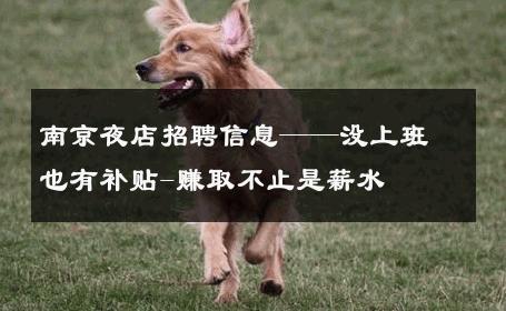 南京夜店招聘信息——没上班也有补贴-赚取不止是薪水 