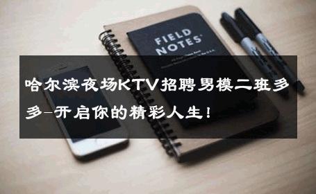 哈尔滨夜场KTV招聘男模二班多多-开启你的精彩人生！ 