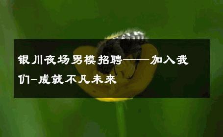 银川夜场男模招聘——加入我们-成就不凡未来 