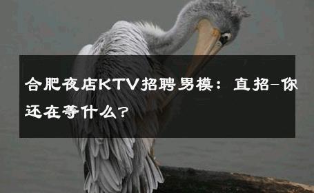 合肥夜店KTV招聘男模：直招-你还在等什么？ 