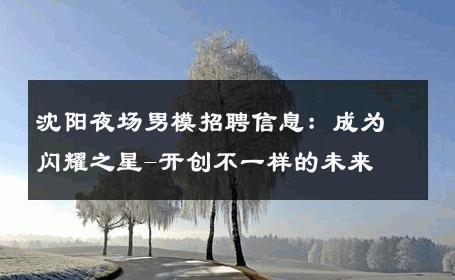 沈阳夜场男模招聘信息：成为闪耀之星-开创不一样的未来 