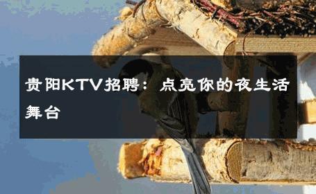 贵阳KTV招聘：点亮你的夜生活舞台 