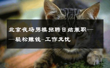 北京夜场男模招聘日结兼职——轻松赚钱-工作无忧 