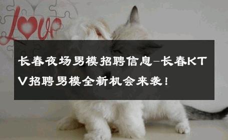 长春夜场男模招聘信息-长春KTV招聘男模全新机会来袭！ 