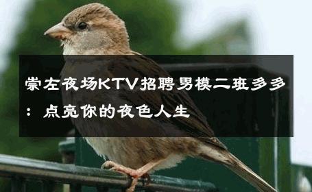 崇左夜场KTV招聘男模二班多多：点亮你的夜色人生 