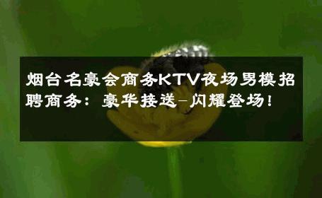 烟台名豪会商务KTV夜场男模招聘商务：豪华接送-闪耀登场！ 