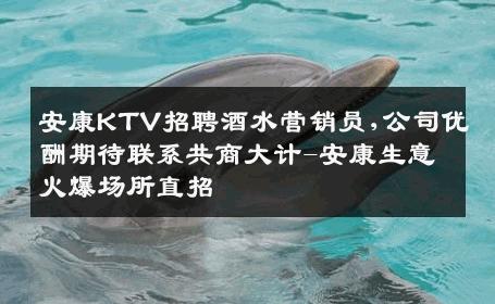 安康KTV招聘酒水营销员,公司优酬期待联系共商大计-安康生意火爆场所直招