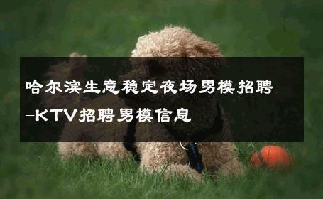 哈尔滨生意稳定夜场男模招聘-KTV招聘男模信息 