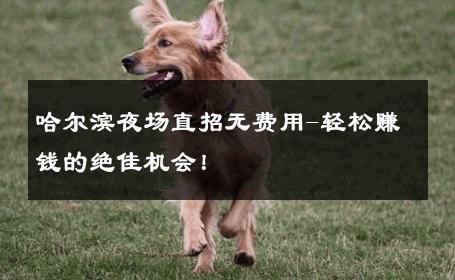哈尔滨夜场直招无费用-轻松赚钱的绝佳机会！ 