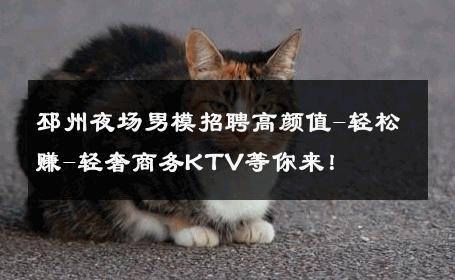 邳州夜场男模招聘高颜值-轻松赚-轻奢商务KTV等你来！ 